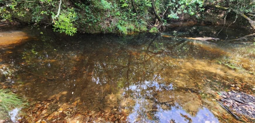 Chácara – Casa – Margem Rio Das Cobras – 12km de Alto Paraíso de Goiás