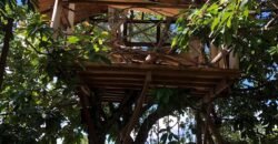 Vende-se Pousada – Lote 1.887,80 m2 – Centro – Alto Paraíso de Goiás