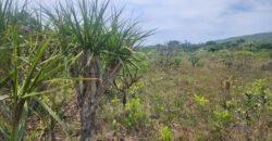 Chácara – Casa – Margem Rio Das Cobras – 12km de Alto Paraíso de Goiás