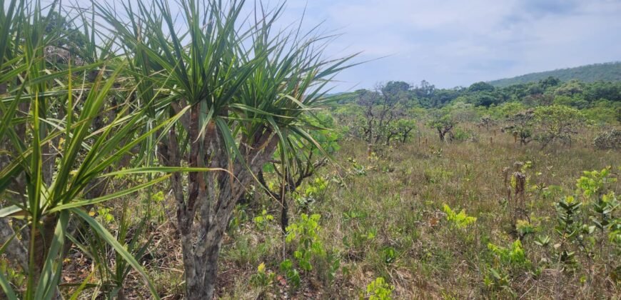 Chácara – Casa – Margem Rio Das Cobras – 12km de Alto Paraíso de Goiás
