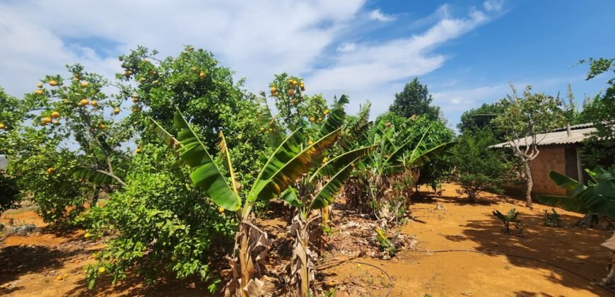 Fazenda Produzindo – Soja – Milho – Feijão – Propriedade Rural na Chapada dos Veadeiros – 28km de Alto Paraíso  de Goiás