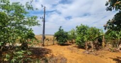 Fazenda Produzindo – Soja – Milho – Feijão – Propriedade Rural na Chapada dos Veadeiros – 28km de Alto Paraíso  de Goiás