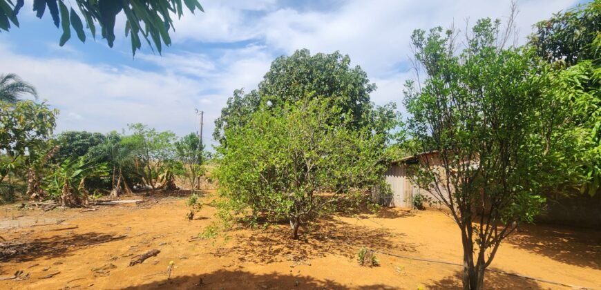Fazenda Produzindo – Soja – Milho – Feijão – Propriedade Rural na Chapada dos Veadeiros – 28km de Alto Paraíso  de Goiás