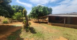 Fazenda Produzindo – Soja – Milho – Feijão – Propriedade Rural na Chapada dos Veadeiros – 28km de Alto Paraíso  de Goiás