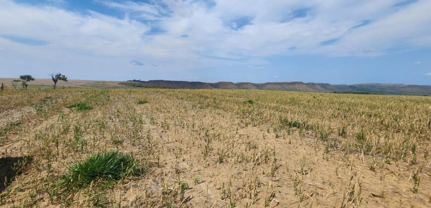 Fazenda Produzindo – Soja – Milho – Feijão – Propriedade Rural na Chapada dos Veadeiros – 28km de Alto Paraíso  de Goiás