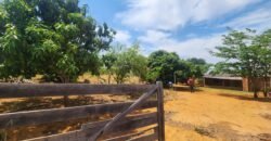 Fazenda Produzindo – Soja – Milho – Feijão – Propriedade Rural na Chapada dos Veadeiros – 28km de Alto Paraíso  de Goiás