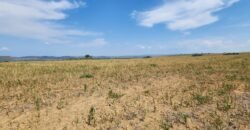 Fazenda Produzindo – Soja – Milho – Feijão – Propriedade Rural na Chapada dos Veadeiros – 28km de Alto Paraíso  de Goiás