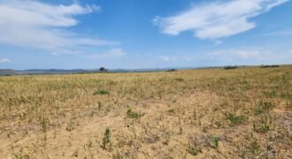 Fazenda Produzindo – Soja – Milho – Feijão – Propriedade Rural na Chapada dos Veadeiros – 28km de Alto Paraíso  de Goiás