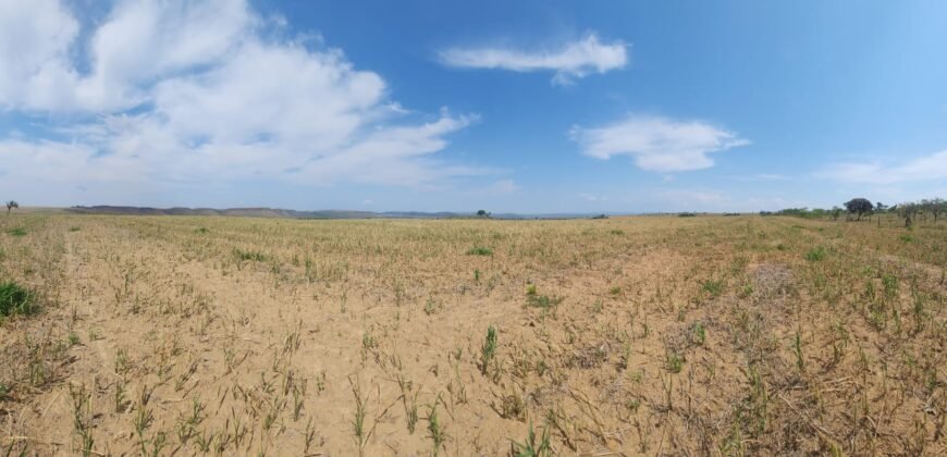 Fazenda Produzindo – Soja – Milho – Feijão – Propriedade Rural na Chapada dos Veadeiros – 28km de Alto Paraíso  de Goiás
