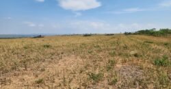 Fazenda Produzindo – Soja – Milho – Feijão – Propriedade Rural na Chapada dos Veadeiros – 28km de Alto Paraíso  de Goiás