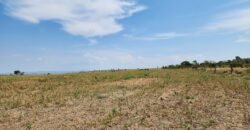 Fazenda Produzindo – Soja – Milho – Feijão – Propriedade Rural na Chapada dos Veadeiros – 28km de Alto Paraíso  de Goiás