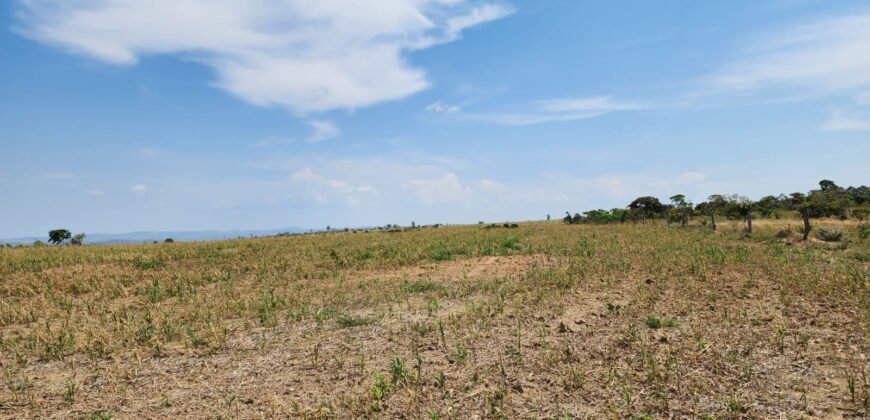 Fazenda Produzindo – Soja – Milho – Feijão – Propriedade Rural na Chapada dos Veadeiros – 28km de Alto Paraíso  de Goiás