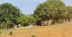 Fazenda Produzindo – Soja – Milho – Feijão – Propriedade Rural na Chapada dos Veadeiros – 28km de Alto Paraíso  de Goiás