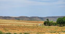 Fazenda Produzindo – Soja – Milho – Feijão – Propriedade Rural na Chapada dos Veadeiros – 28km de Alto Paraíso  de Goiás