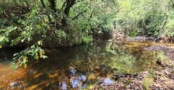 Chácara – Casa – Margem Rio Das Cobras – 12km de Alto Paraíso de Goiás