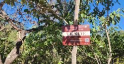 Lote 528m2 – Eldorado Etapa 2 – Alto Paraíso de Goiás