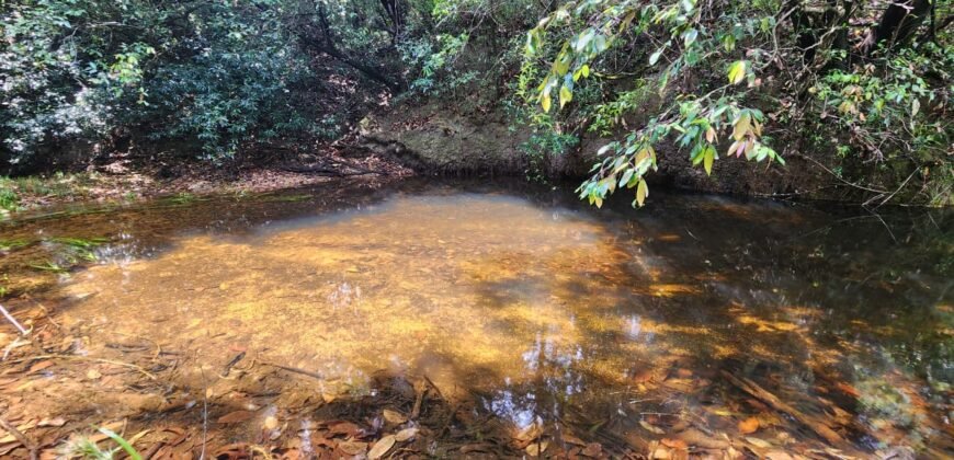 Chácara – Casa – Margem Rio Das Cobras – 12km de Alto Paraíso de Goiás
