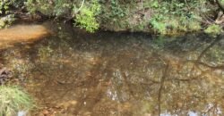Chácara – Casa – Margem Rio Das Cobras – 12km de Alto Paraíso de Goiás