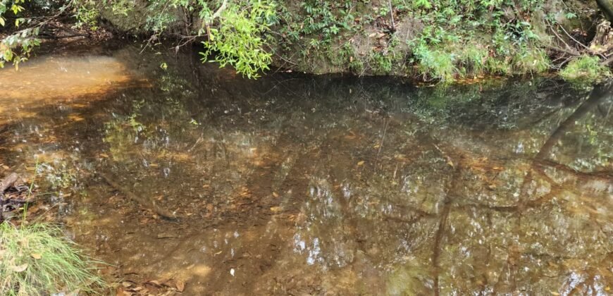 Chácara – Casa – Margem Rio Das Cobras – 12km de Alto Paraíso de Goiás