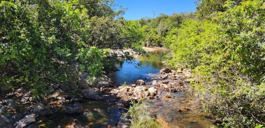 Fazenda Produzindo – Soja – Milho – Feijão – Propriedade Rural na Chapada dos Veadeiros – 28km de Alto Paraíso  de Goiás