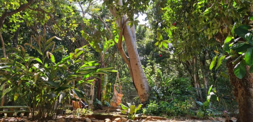 Vende-se Propriedade no Povoado Moinho – Alto Paraíso de Goiás
