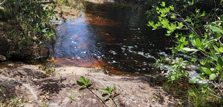 Fazenda 222ha com Cachoeira Coca Cola e Rio Vale do Macaco – Proximo a Cachoeira Macaquinhos – Alto Paraíso de Goiás