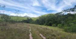 Fazenda 222ha com Cachoeira Coca Cola e Rio Vale do Macaco – Proximo a Cachoeira Macaquinhos – Alto Paraíso de Goiás