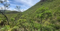Fazenda 222ha com Cachoeira Coca Cola e Rio Vale do Macaco – Proximo a Cachoeira Macaquinhos – Alto Paraíso de Goiás