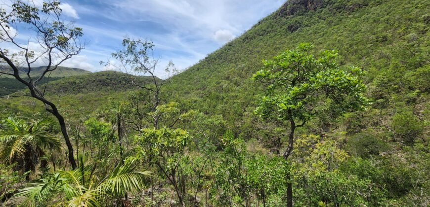 Fazenda 222ha com Cachoeira Coca Cola e Rio Vale do Macaco – Proximo a Cachoeira Macaquinhos – Alto Paraíso de Goiás