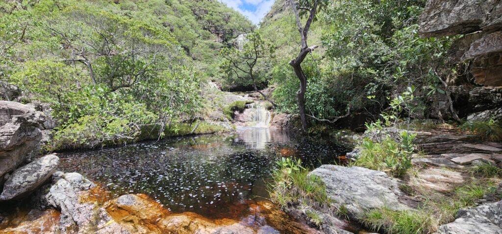 Fazenda 222ha com Cachoeira Coca Cola e Rio Vale do Macaco – Proximo a Cachoeira Macaquinhos – Alto Paraíso de Goiás