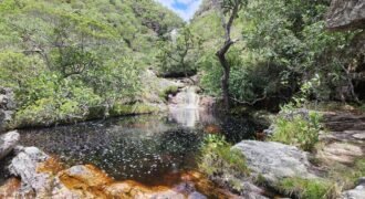 Fazenda 222ha com Cachoeira Coca Cola e Rio Vale do Macaco – Proximo a Cachoeira Macaquinhos – Alto Paraíso de Goiás