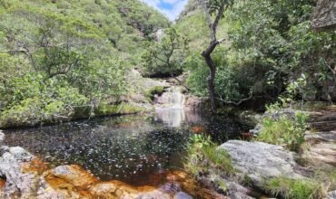 Fazenda 222ha com Cachoeira Coca Cola e Rio Vale do Macaco – Proximo a Cachoeira Macaquinhos – Alto Paraíso de Goiás