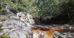 Fazenda 222ha com Cachoeira Coca Cola e Rio Vale do Macaco – Proximo a Cachoeira Macaquinhos – Alto Paraíso de Goiás