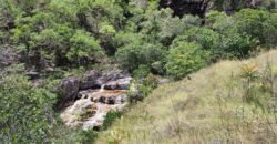 Fazenda 222ha com Cachoeira Coca Cola e Rio Vale do Macaco – Proximo a Cachoeira Macaquinhos – Alto Paraíso de Goiás