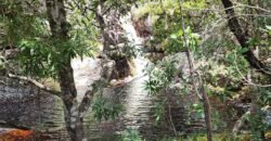 Fazenda 222ha com Cachoeira Coca Cola e Rio Vale do Macaco – Proximo a Cachoeira Macaquinhos – Alto Paraíso de Goiás
