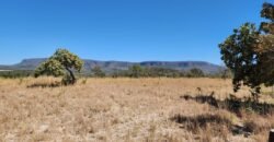 Fazenda 120 Alqueires – Pecuária/Agricultura – 2,5km de Teresina de Goiás – Chapada dos Veadeiros
