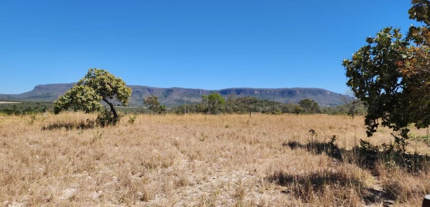 Fazenda 120 Alqueires – Pecuária/Agricultura – 2,5km de Teresina de Goiás – Chapada dos Veadeiros