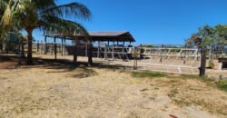 Fazenda 120 Alqueires – Pecuária/Agricultura – 2,5km de Teresina de Goiás – Chapada dos Veadeiros