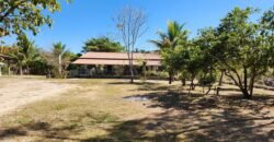 Fazenda 120 Alqueires – Pecuária/Agricultura – 2,5km de Teresina de Goiás – Chapada dos Veadeiros