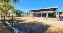 Fazenda 120 Alqueires – Pecuária/Agricultura – 2,5km de Teresina de Goiás – Chapada dos Veadeiros