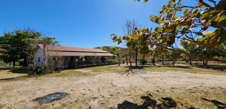Fazenda 120 Alqueires – Pecuária/Agricultura – 2,5km de Teresina de Goiás – Chapada dos Veadeiros