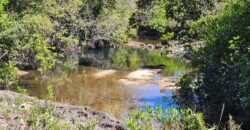 Fazenda 120 Alqueires – Pecuária/Agricultura – 2,5km de Teresina de Goiás – Chapada dos Veadeiros