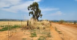 Fazenda 120 Alqueires – Pecuária/Agricultura – 2,5km de Teresina de Goiás – Chapada dos Veadeiros