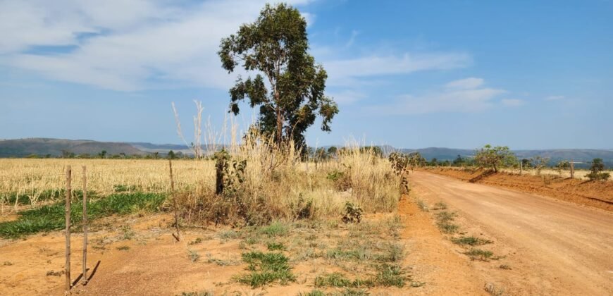 Fazenda 120 Alqueires – Pecuária/Agricultura – 2,5km de Teresina de Goiás – Chapada dos Veadeiros