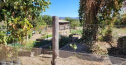 Fazenda 120 Alqueires – Pecuária/Agricultura – 2,5km de Teresina de Goiás – Chapada dos Veadeiros