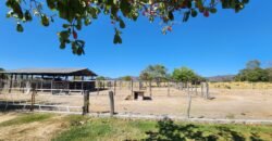 Fazenda 120 Alqueires – Pecuária/Agricultura – 2,5km de Teresina de Goiás – Chapada dos Veadeiros