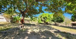 Fazenda 120 Alqueires – Pecuária/Agricultura – 2,5km de Teresina de Goiás – Chapada dos Veadeiros
