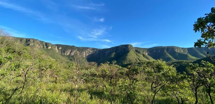 Chácara 4.3 ha – Vista Cênica – Pé de Serra – – Fazenda Santa Rita – 12 km de Alto Paraíso – Infraestrutura