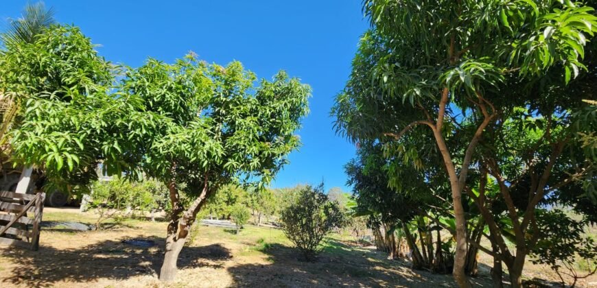 Fazenda 120 Alqueires – Pecuária/Agricultura – 2,5km de Teresina de Goiás – Chapada dos Veadeiros