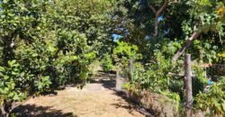 Fazenda 120 Alqueires – Pecuária/Agricultura – 2,5km de Teresina de Goiás – Chapada dos Veadeiros